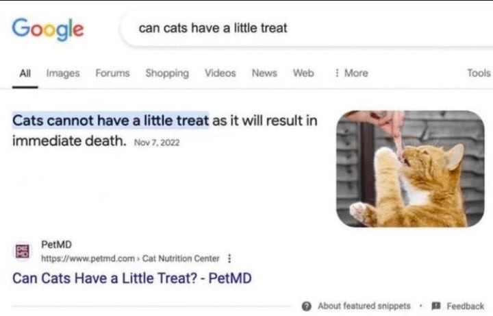 cat treat.jpg
